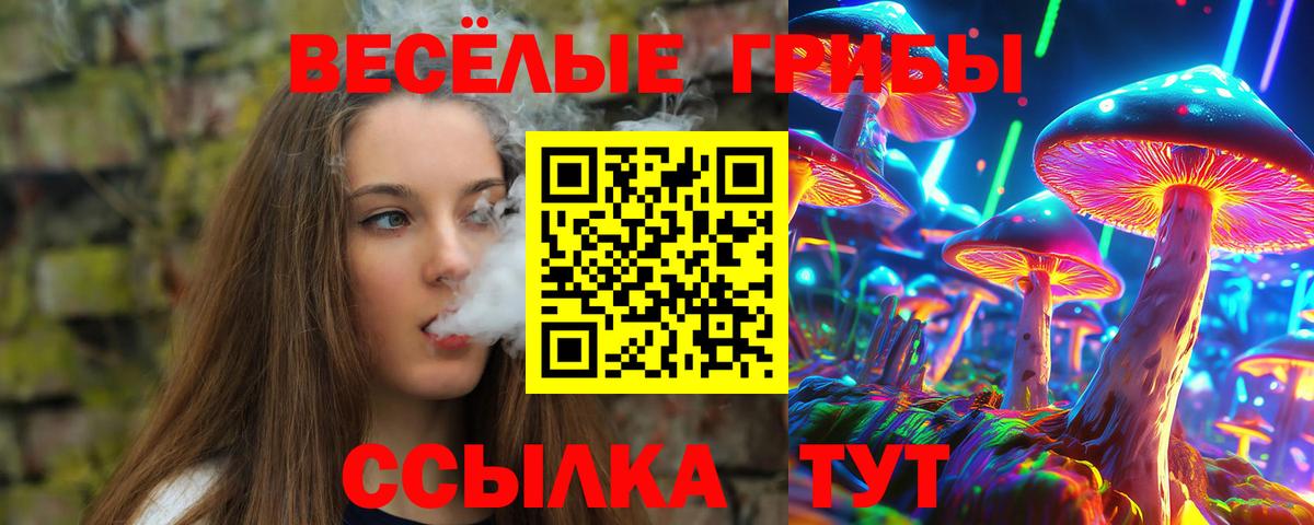 Псилоцибиновые грибы Magic Shrooms  Вход с VPN  Галлюциногенные грибы Psilocybe  Алатырь 